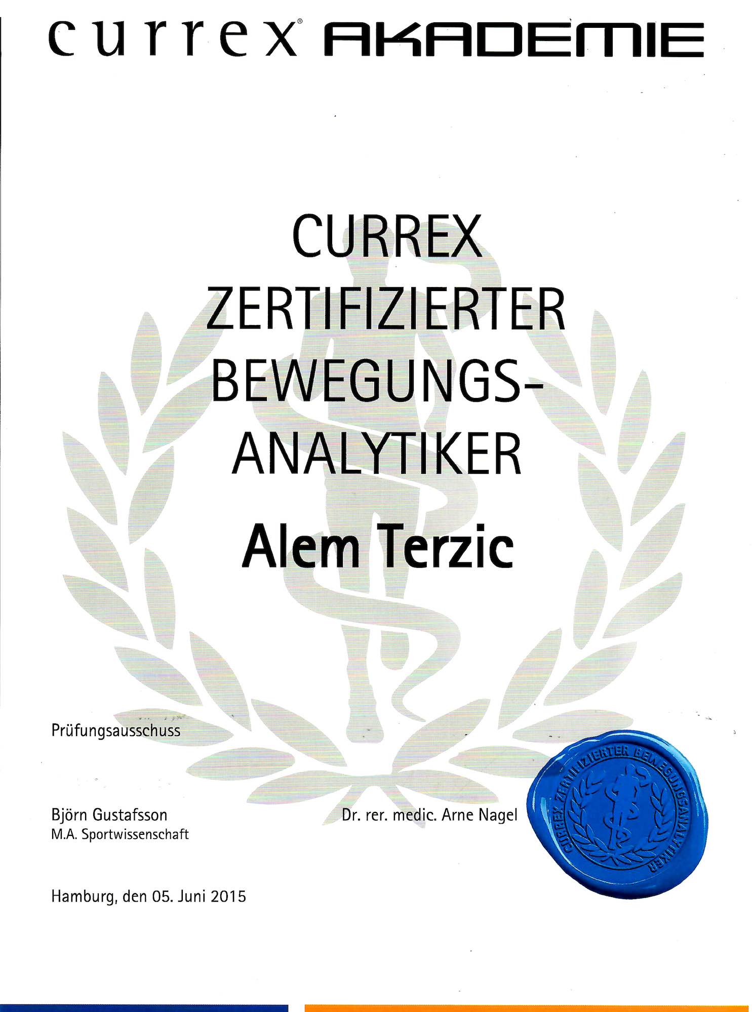 Zertifikat Bewegungsanalytiker Terzic